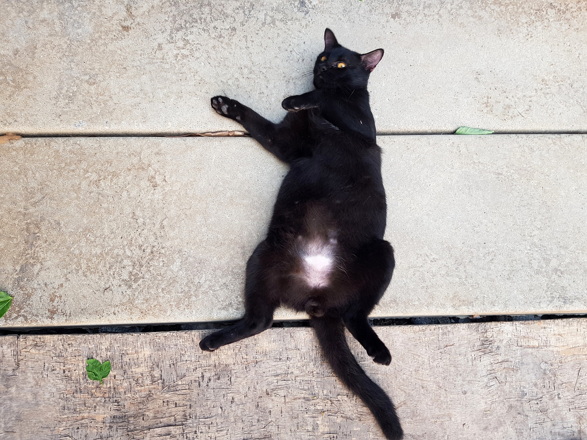 ช่วงกักตัว กลัวภัย อยู่ในบ้าน 3