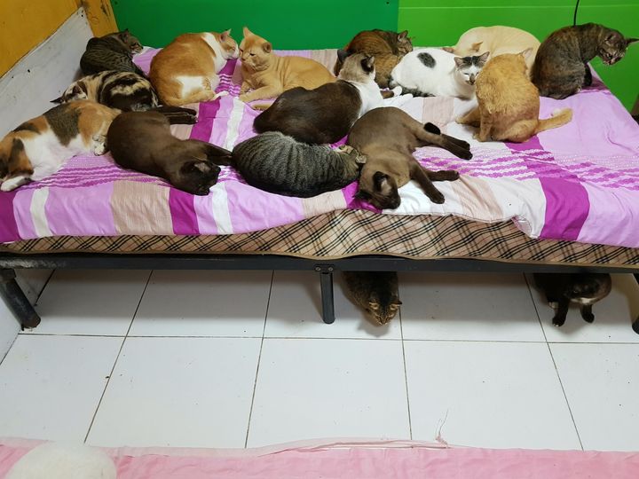 ครอบครัวอันแสนอบอุ่น พ่อจะตั้งใจทำงาน จะได้ซื้อเตียงเพิ่มให้นะ 1