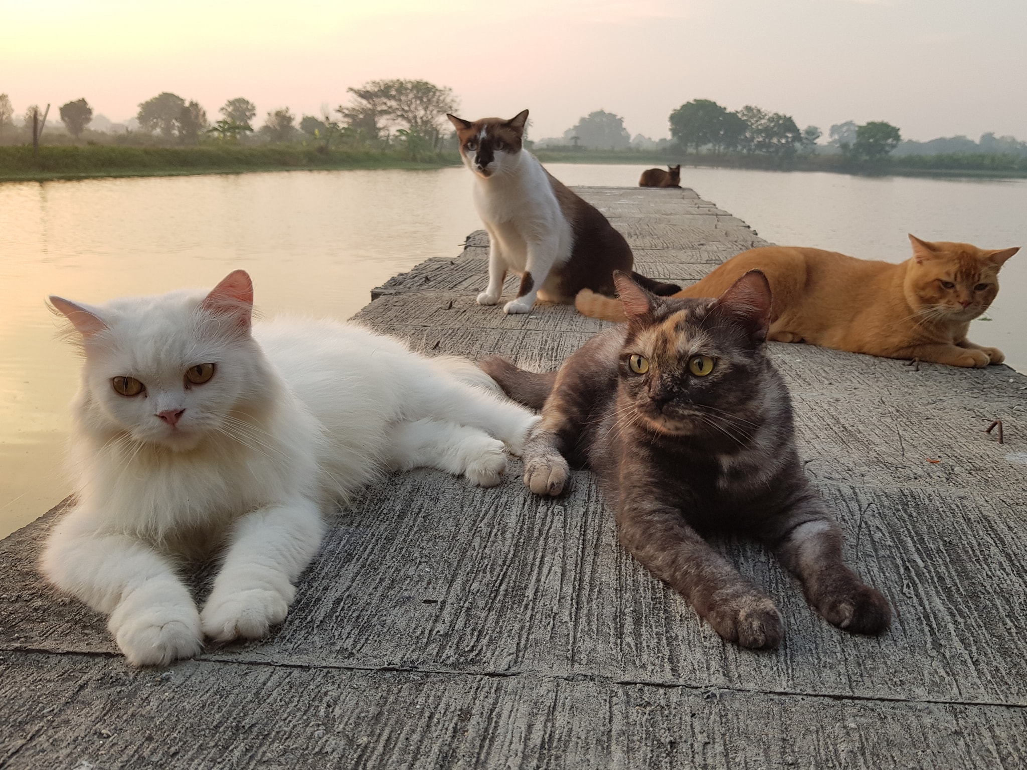 มาตั้งด่าน ผ่านคลอง คอยมองหา 3