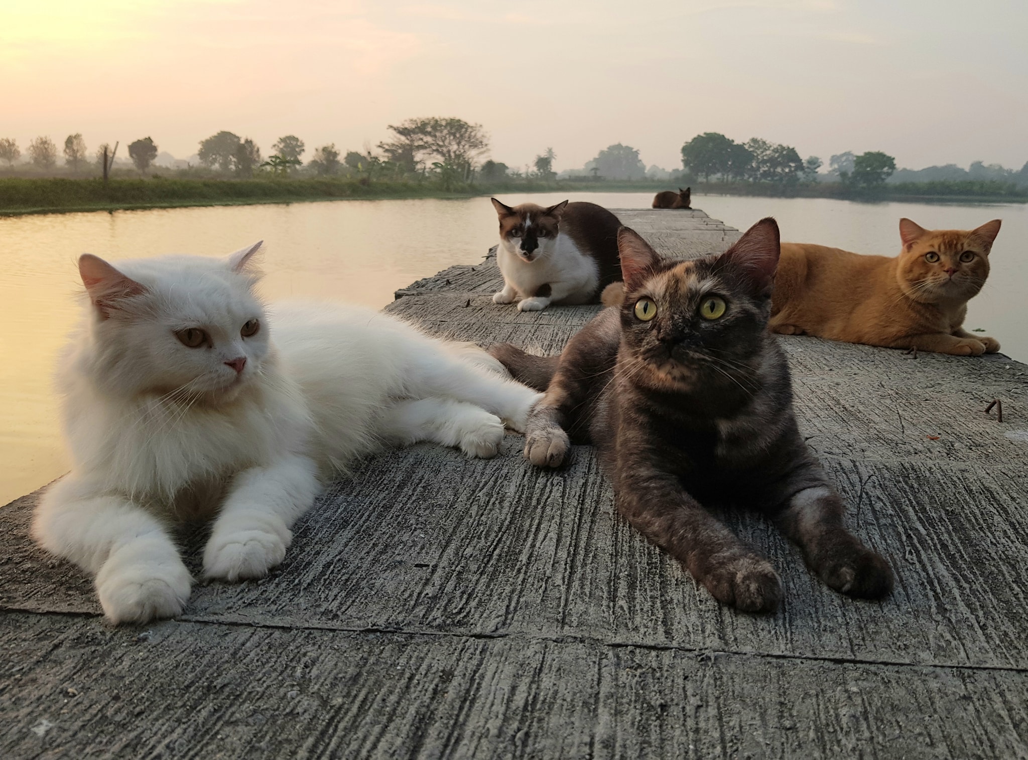 มาตั้งด่าน ผ่านคลอง คอยมองหา 2