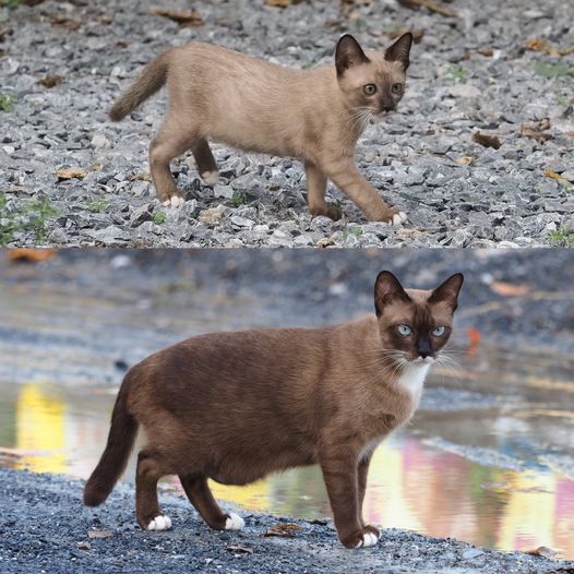 ตอนเด็กน่ารัก หน้าตาใสซื่อ พอโตเป็นสาวแล้วขี้เหล่ หน้าตาเจ้าเล่ห์ พุงห้อยอีก.. 1