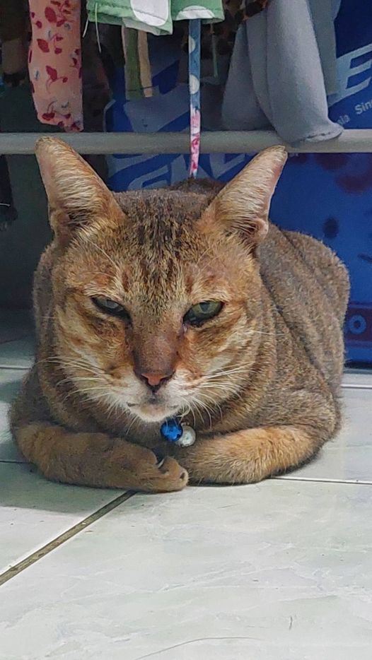 #ประกวดแต่งกลอน 1