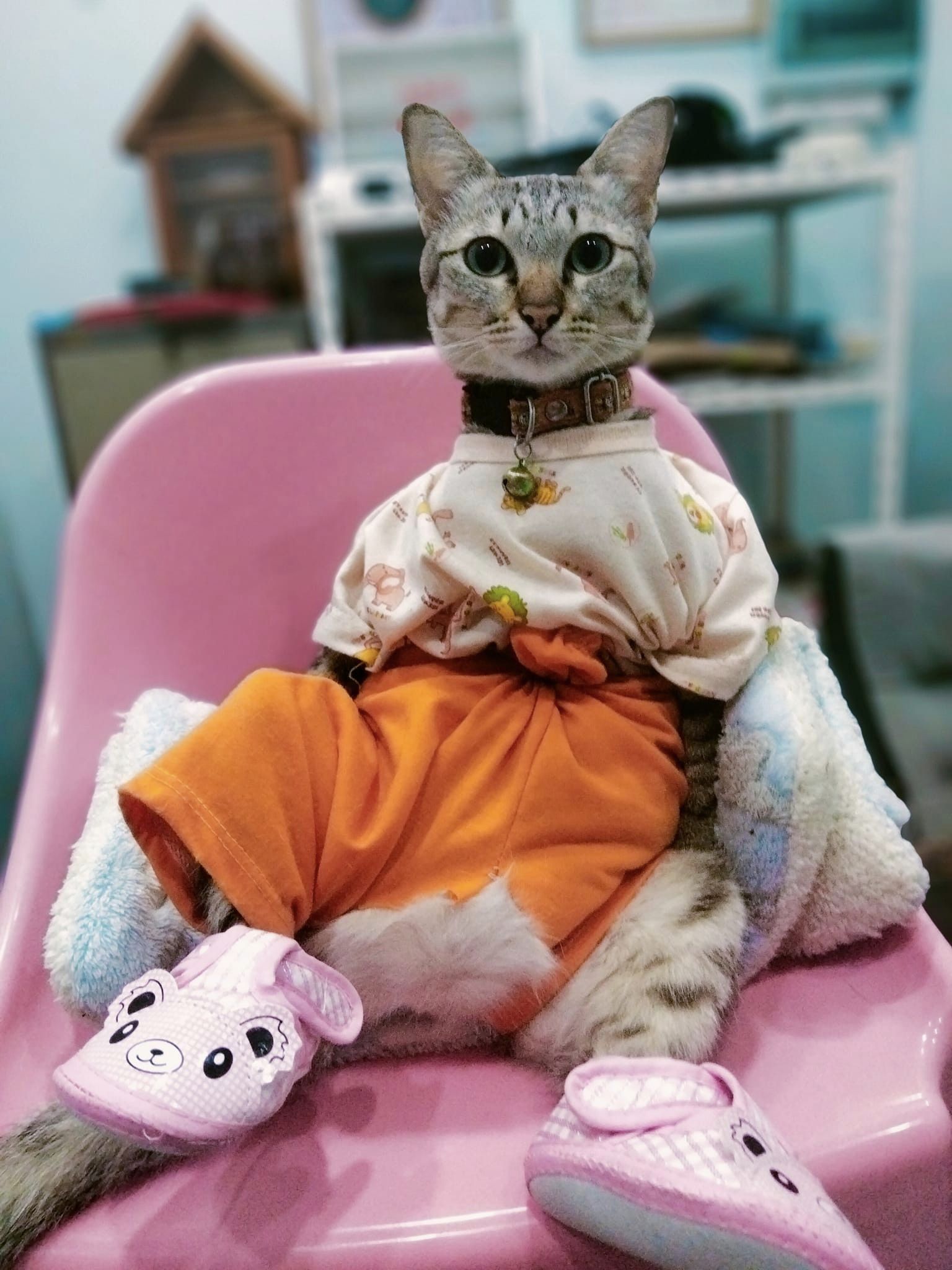 #ประกวดแต่งกลอน 2