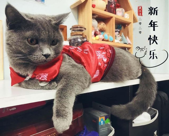 #ประกวดแต่งกลอน 1