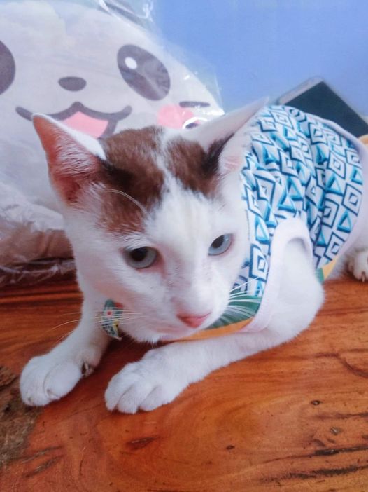 #ประกวดแต่งกลอน 1