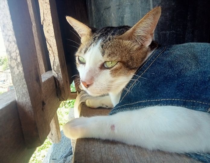 #ประกวดแต่งกลอน 1