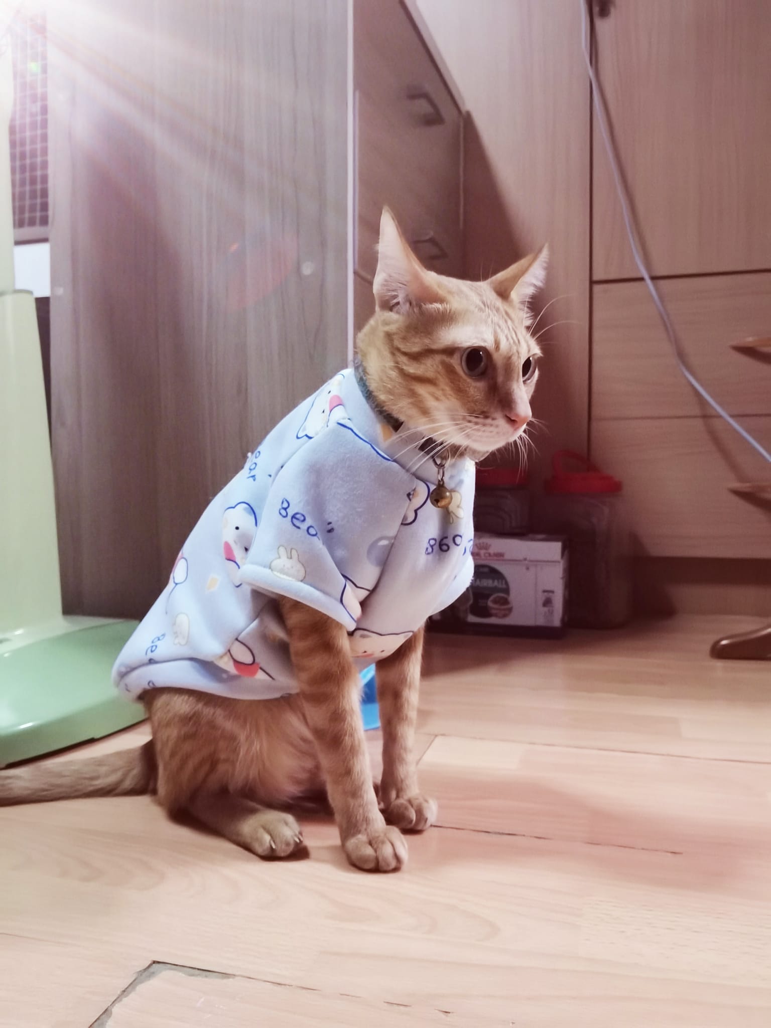 #ประกวดแต่งกลอน 2
