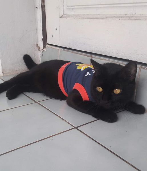 #ประกวดแต่งกลอน 1
