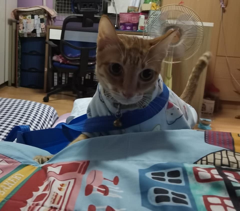 #ประกวดแต่งกลอน 1
