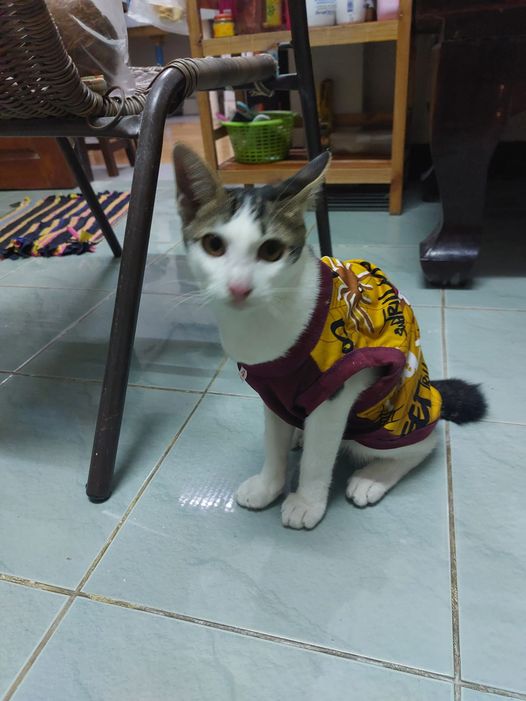 #ประกวดแต่งกลอน 1