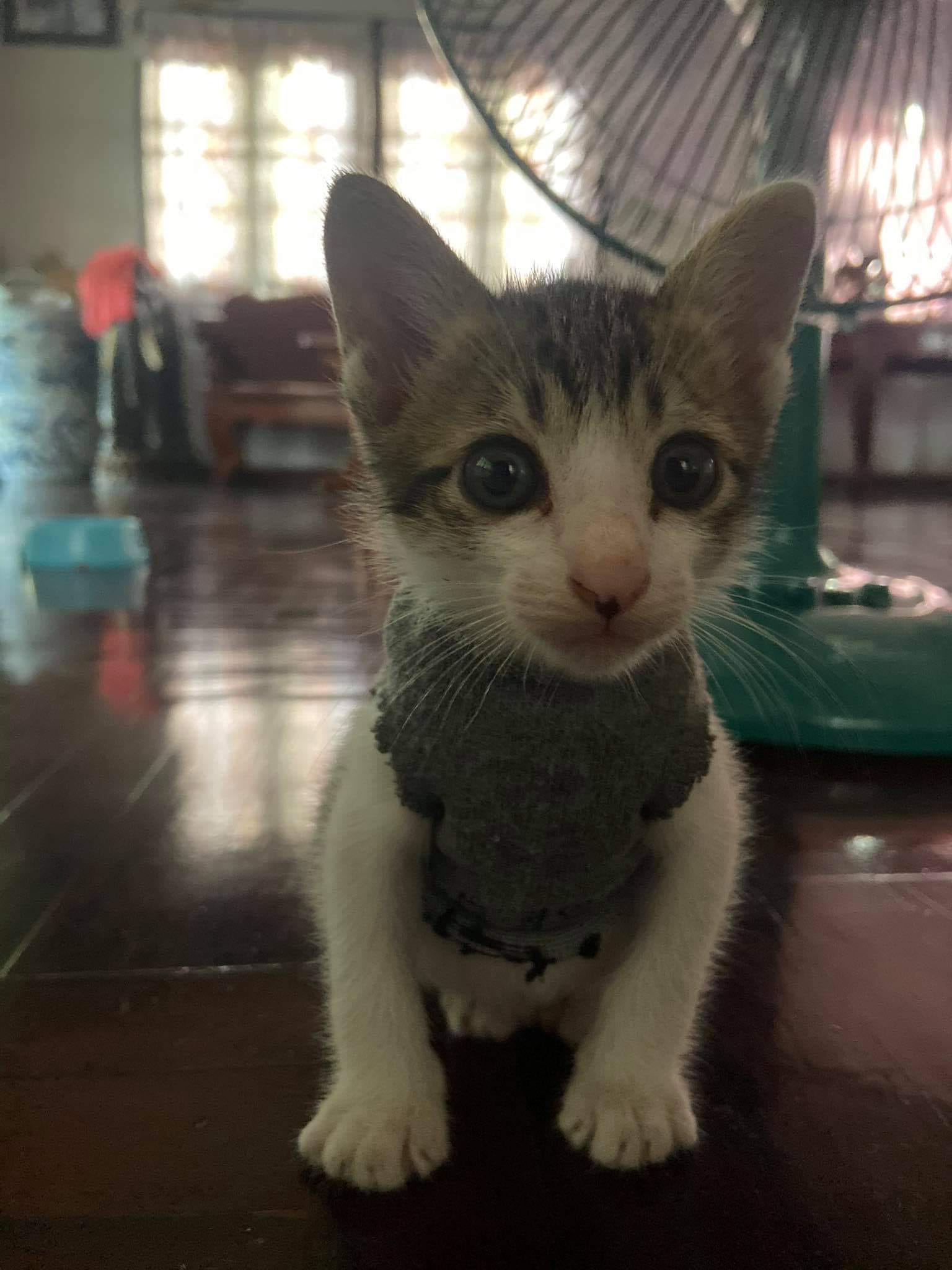 #ประกวดแต่งกลอน 1