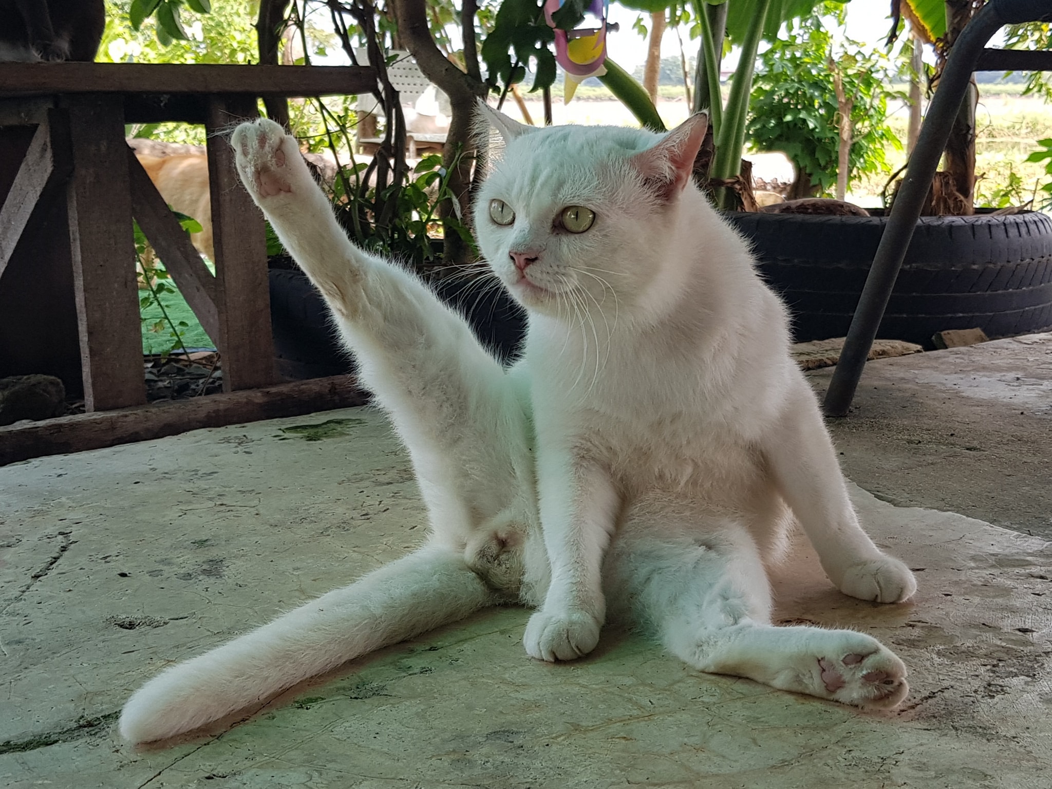 "ผมไปทำไฮไลต์ไข่ดำมาครับ วัยรุ่นแถวนี้กำลังนิยมกันครับพ่อ" 3