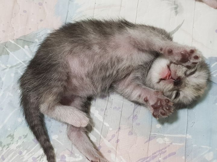 ครบเดือนแล้วที่ลูกสาวจากบ้านนี้ไป 1