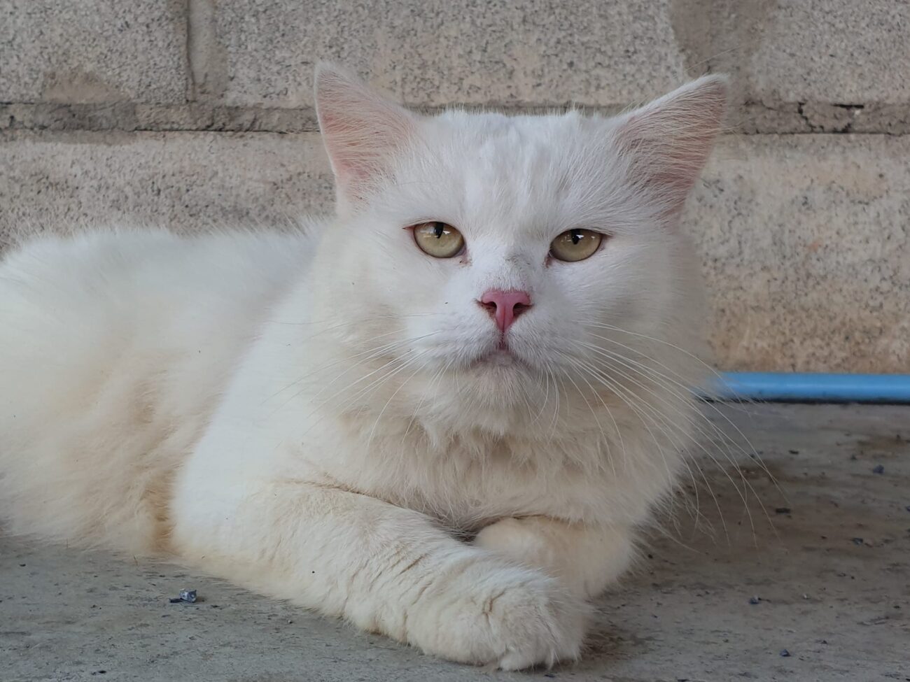 "ผมโดนบ่นทุกวันเลย ปีนี้ผมจะเลิกทำตัวมอมแมมดูสักหน่อย เผื่อจะมีแฟนคลับกับเขาบ้าง 1