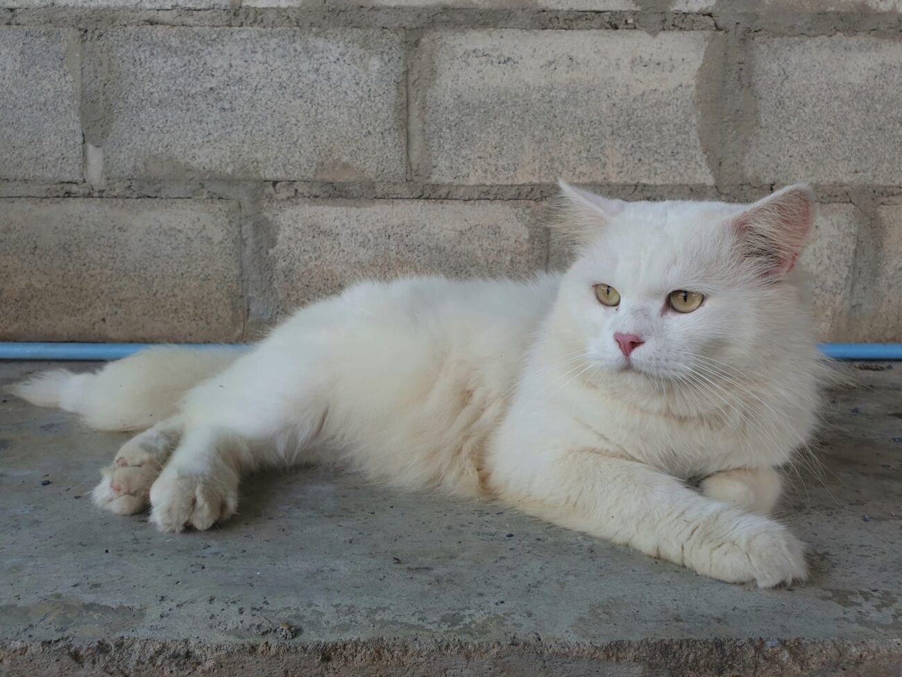 "ผมโดนบ่นทุกวันเลย ปีนี้ผมจะเลิกทำตัวมอมแมมดูสักหน่อย เผื่อจะมีแฟนคลับกับเขาบ้าง 3