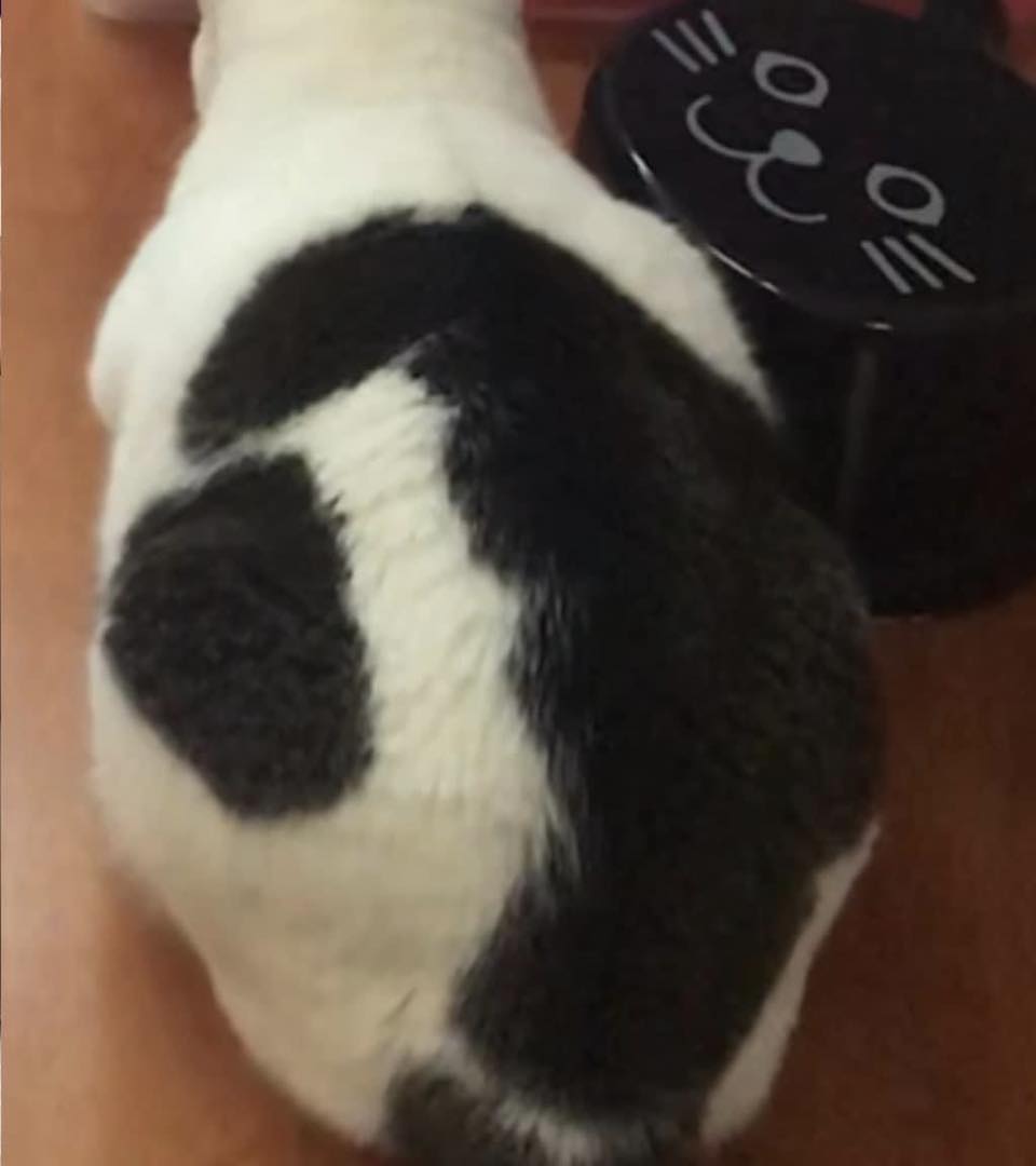 ไม่รู้จริงเท็จแแค่ไหน แต่บางครั้งก็อยากให้เรื่องแบบนี้เกิดกับพ่อทองมีบ้างครับ 2