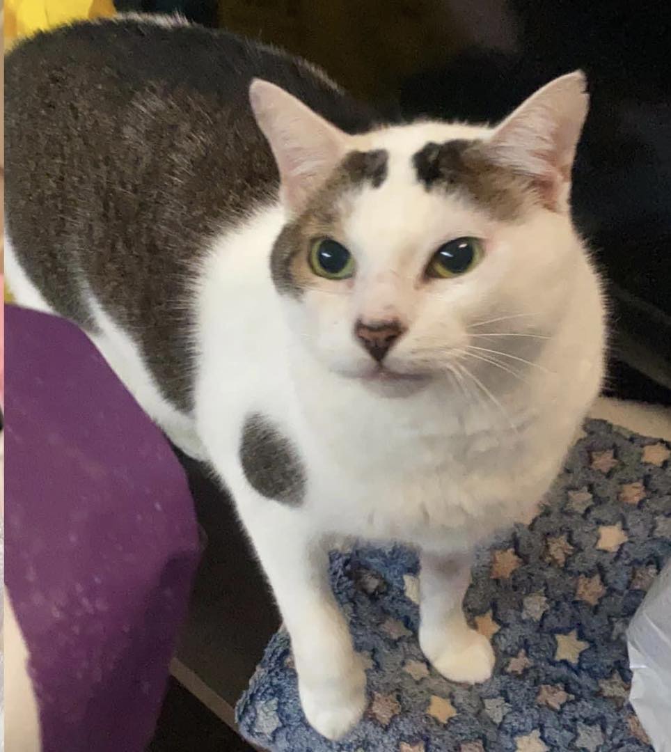 ไม่รู้จริงเท็จแแค่ไหน แต่บางครั้งก็อยากให้เรื่องแบบนี้เกิดกับพ่อทองมีบ้างครับ 4