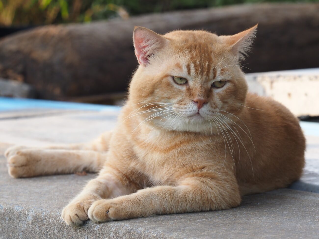 แดดมันร้อน อ่อนเพลีย จนเสียท่า 2