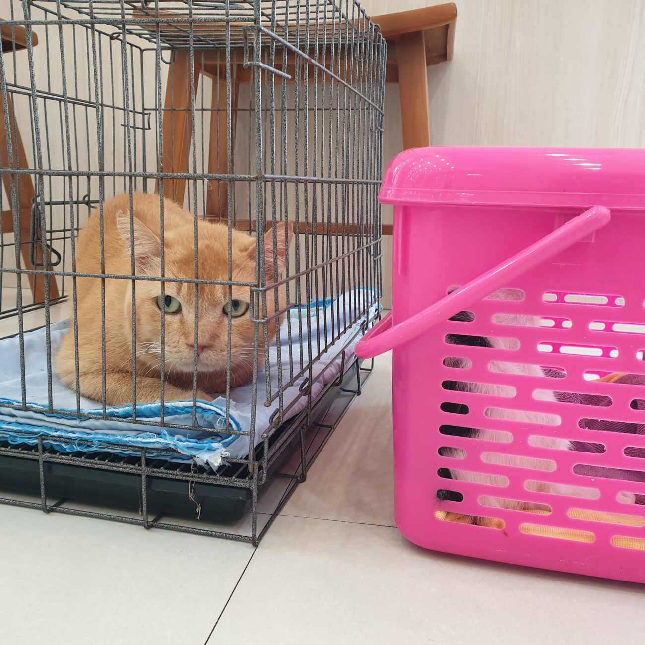 ปู่กับหลานไปหาหมอมาเรียบร้อยครับ 1