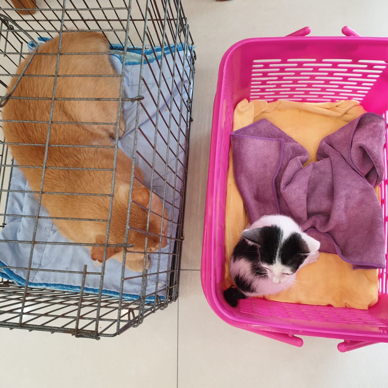 ปู่กับหลานไปหาหมอมาเรียบร้อยครับ 2