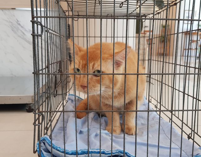 ทองมียังต้องหาหมอต่อเนื่องนะครับ 1