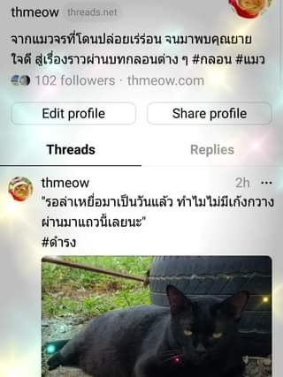 วันนี้ Meta ออกโซเชียลมีเดียแพลตฟอร์มใหม่ ชื่อว่า Threads (การใช้งานคล้าย ๆ ทวิต 1