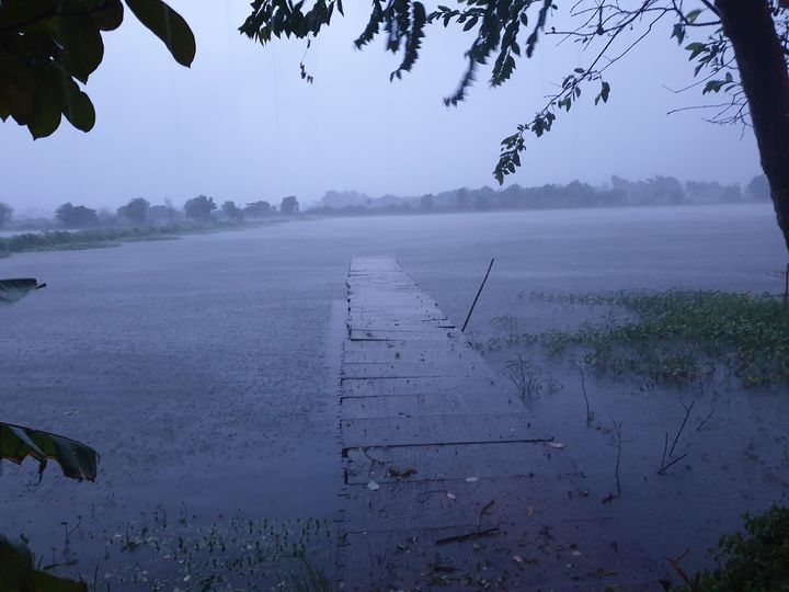 อยู่ดีดีฝนก็เทลงมา แก๊งแมวเล็กสี่โคกำลังวิ่งเล่นบนหลังคา 1