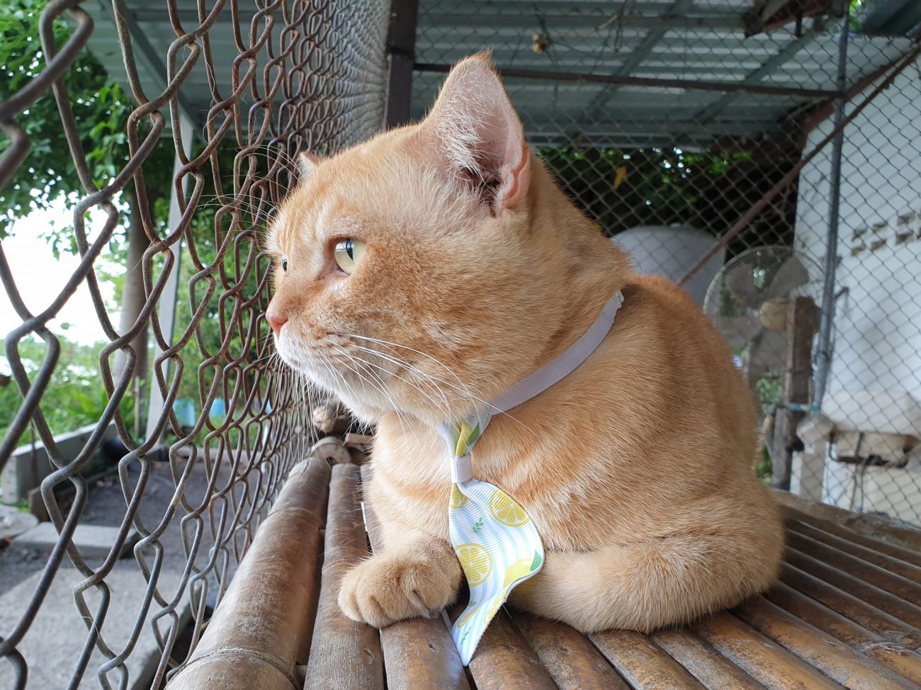 ผมรับงานถ่ายแบบเดือนหน้าครับ 3