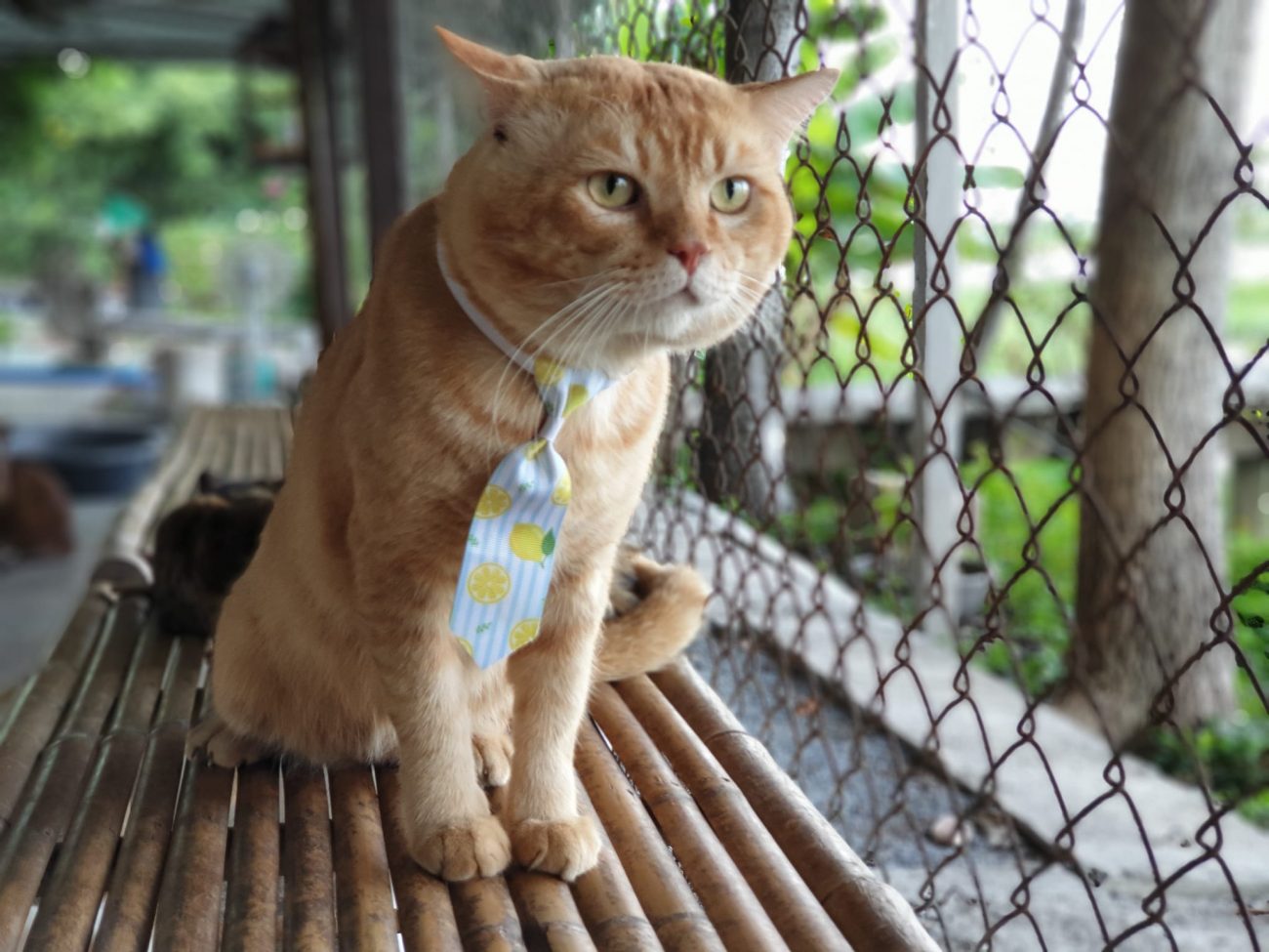 ผมรับงานถ่ายแบบเดือนหน้าครับ 4