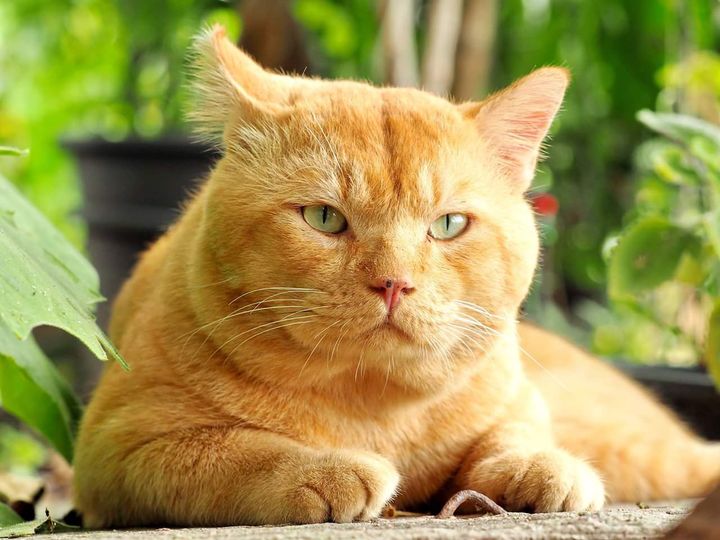 ครบเก้าปี ดีงาม กันตามเหตุ 1