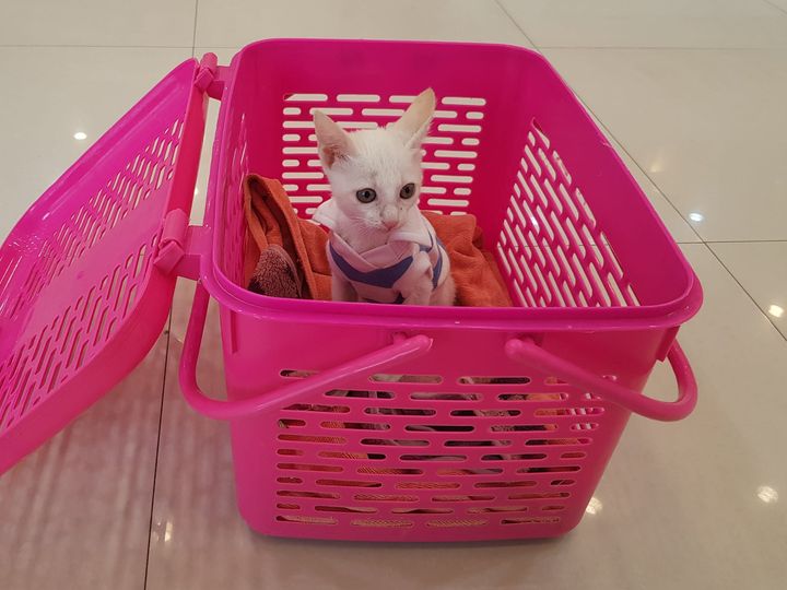 เด็กชาย #กวางตุ้ง ไม่สบายครับ 1