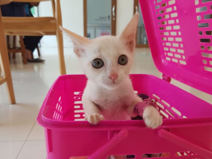 วันนี้เด็กชาย #กวางตุ้ง ดูหน้าตาสดชื่นขึ้นครับ 1