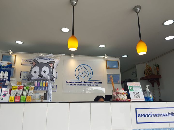 พ่อทองมีมาถึงอยุธยาแล้วครับ ต้องรอเลือดประมาณชั่วโมงครึ่ง เสร็จแล้วรีบกลับไปกำแพ 1