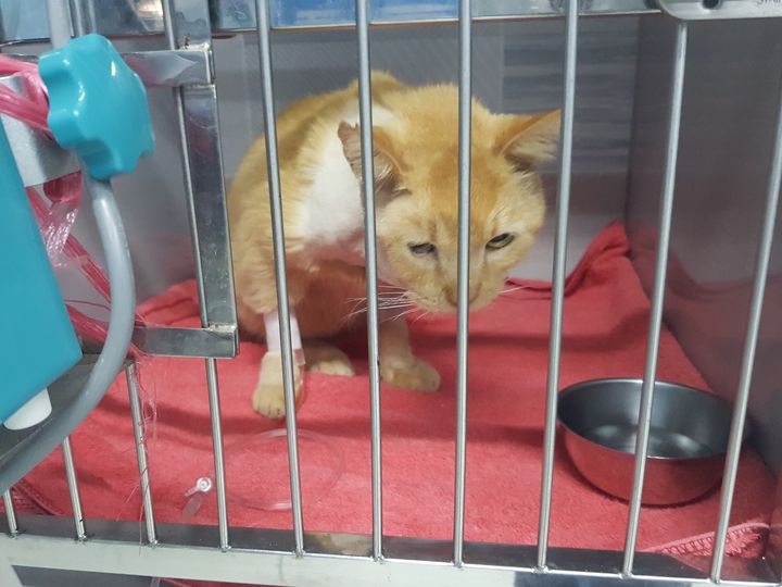 มีแฟน ๆ งง 2-3 เรื่องครับ 1