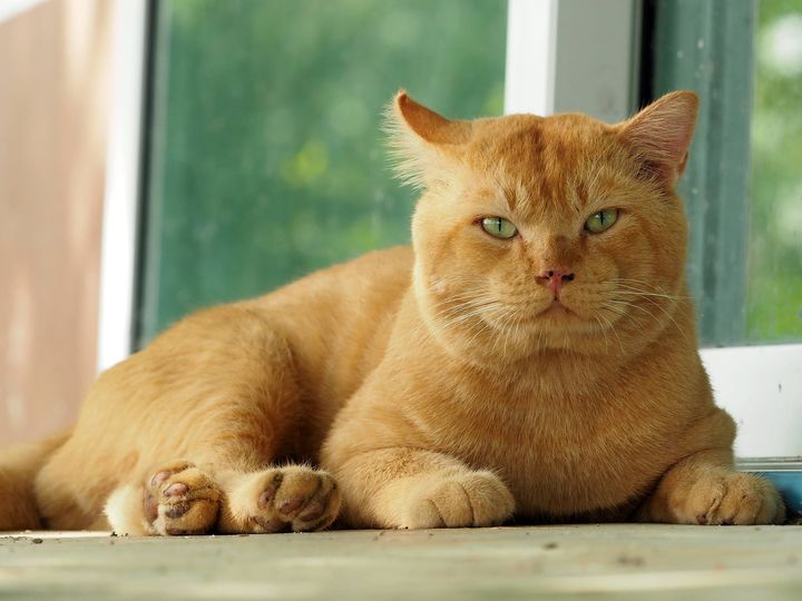 วันนี้ #ทองมี สดชื่นดีครับ 1