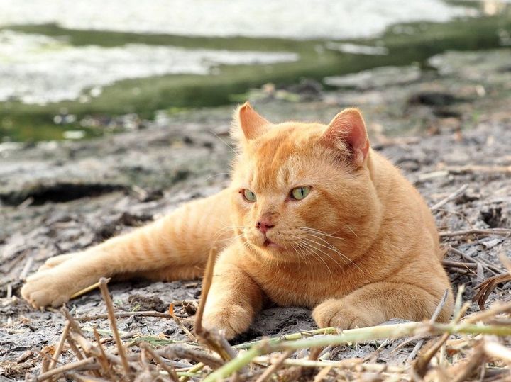 ผลตรวจ #ทองมี ไม่ค่อยดีครับ 1