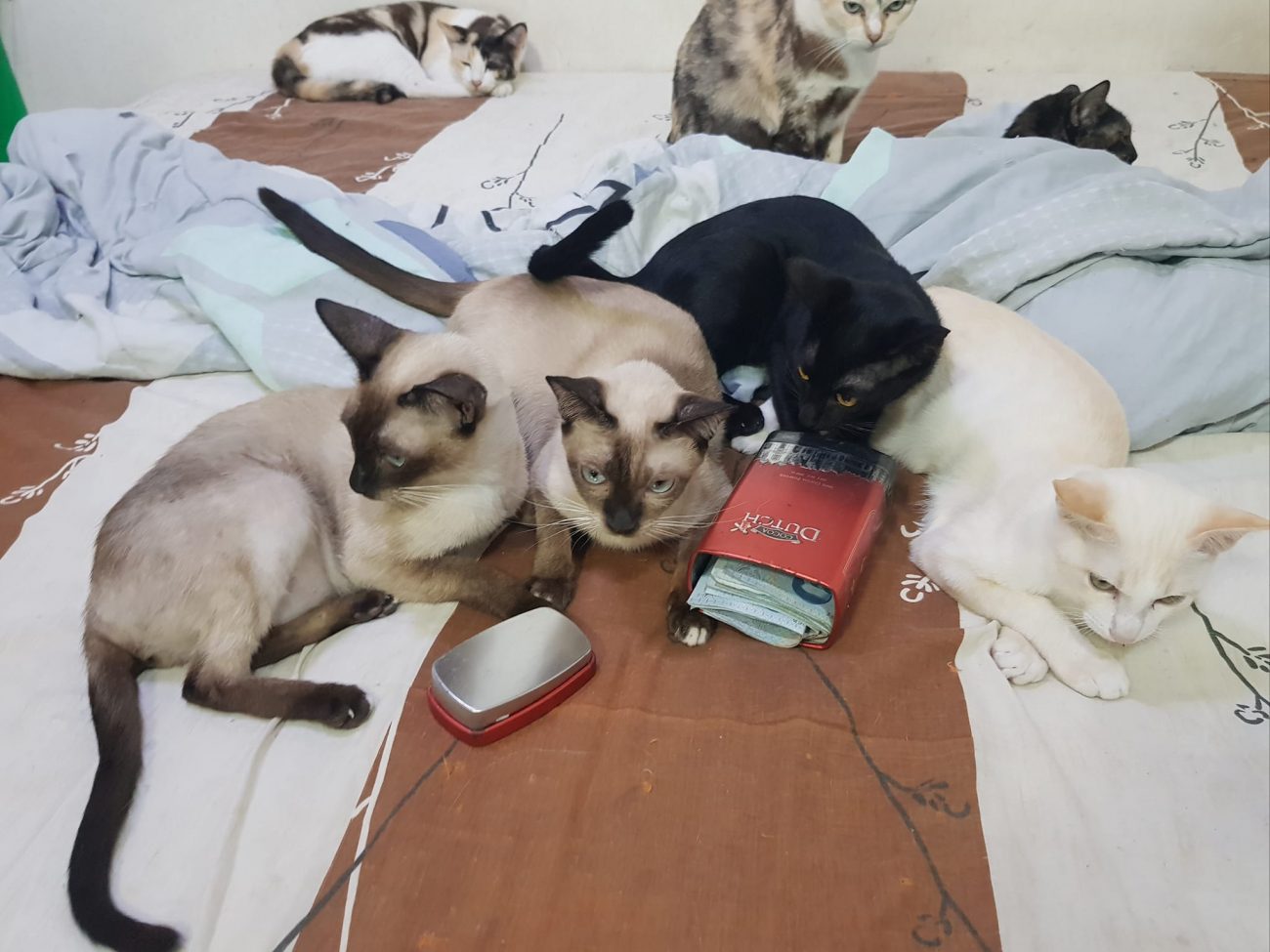 มีอะไรในห้องพวกตัวแสบก็ค้นก็รื้อมาเล่นกันจนเละเทะทุกวัน พ่อทองมีอุตส่าห์ซ่อนตังค 1