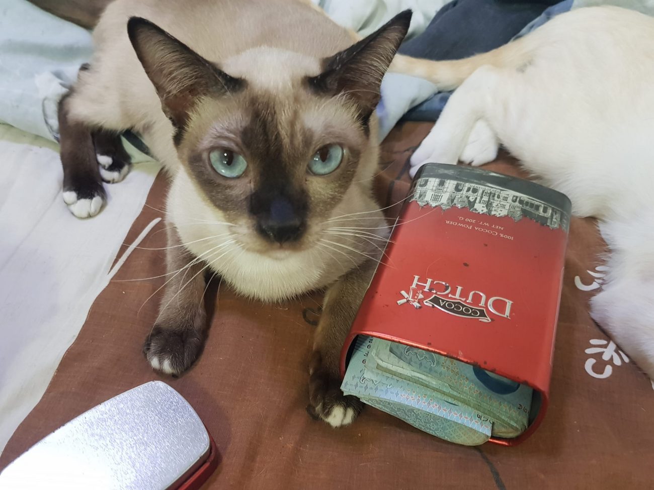 มีอะไรในห้องพวกตัวแสบก็ค้นก็รื้อมาเล่นกันจนเละเทะทุกวัน พ่อทองมีอุตส่าห์ซ่อนตังค 2