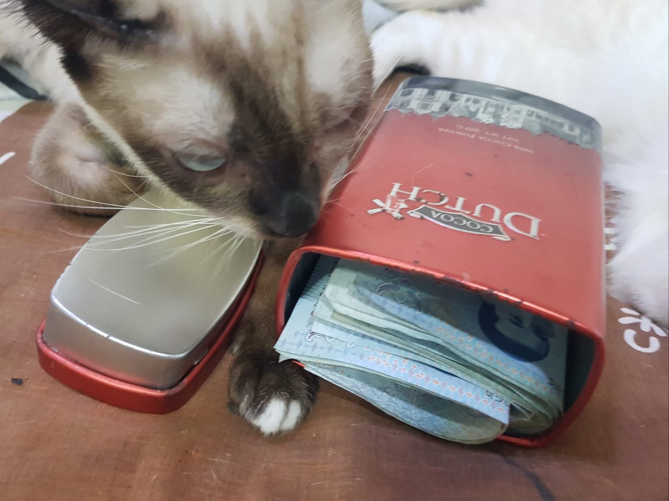 มีอะไรในห้องพวกตัวแสบก็ค้นก็รื้อมาเล่นกันจนเละเทะทุกวัน พ่อทองมีอุตส่าห์ซ่อนตังค 3
