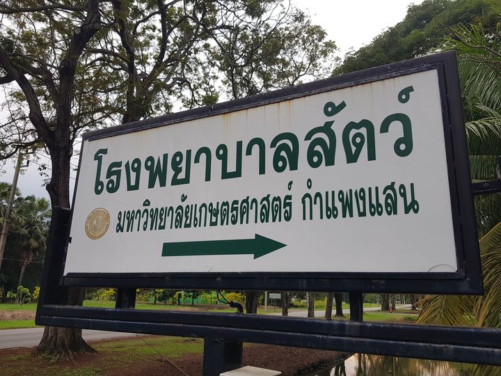 วันนี้ผลตรวจ #ทองมี ดีขึ้นครับ 1