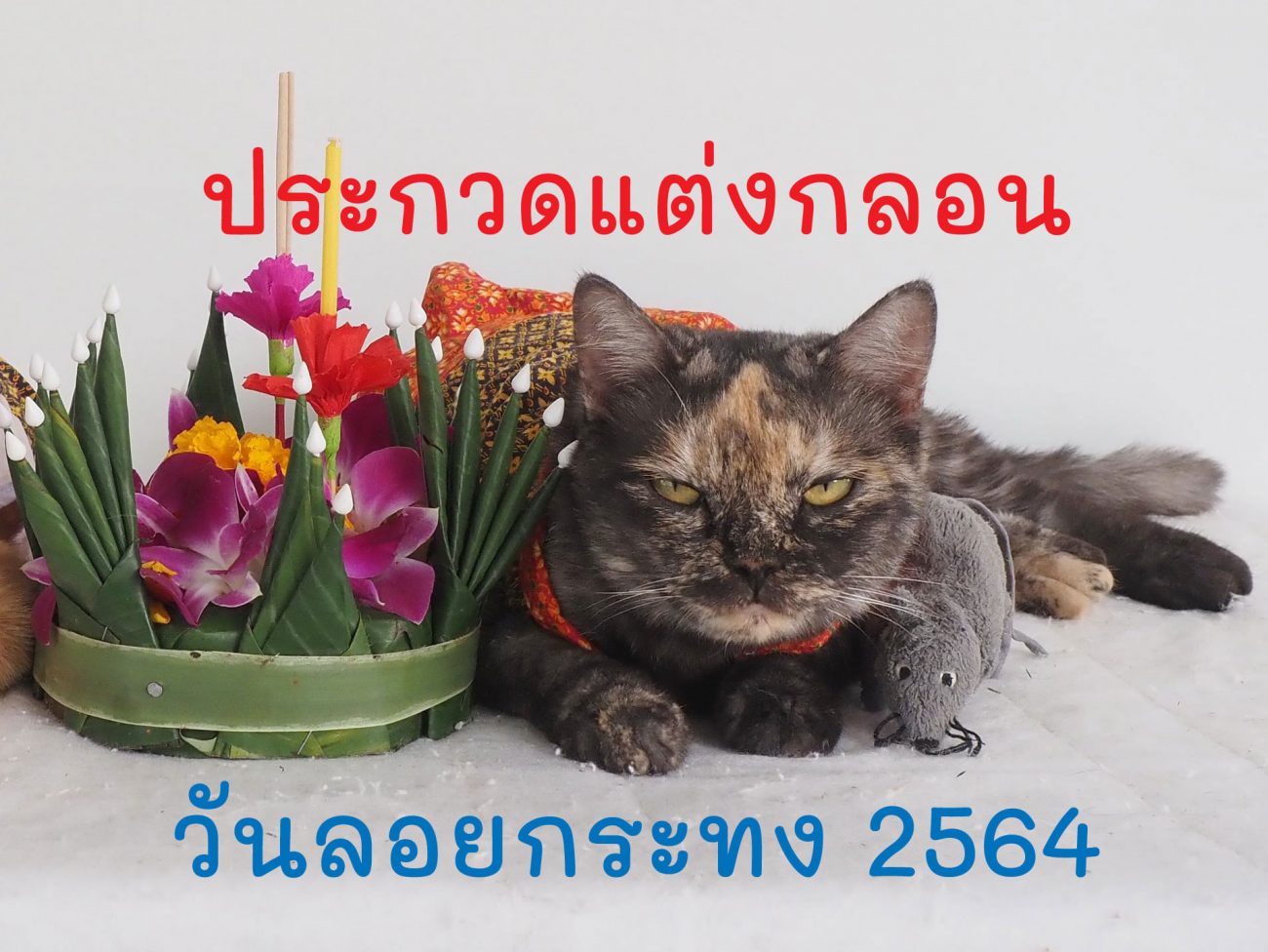 แจ้งผลผลการตัดสิน ประกวดแต่งกลอนวันลอยกระทง 2564 2