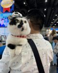 งาน Pet Expo วันนี้วันสุดท้าย ใครมีเวลาไปเดินเที่ยว หรือจะพาน้องแมวน้องหมาไปเดิน 3