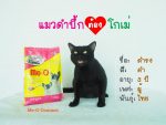 เด็ก ๆ แก๊งแมวรับงานเป็นนายแบบ/นางแบบกับอาหารสูตรโปรด ใครเป็น fc ใคร ไปกดไลก์กดแ 4