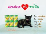 เด็ก ๆ แก๊งแมวรับงานเป็นนายแบบ/นางแบบกับอาหารสูตรโปรด ใครเป็น fc ใคร ไปกดไลก์กดแ 5
