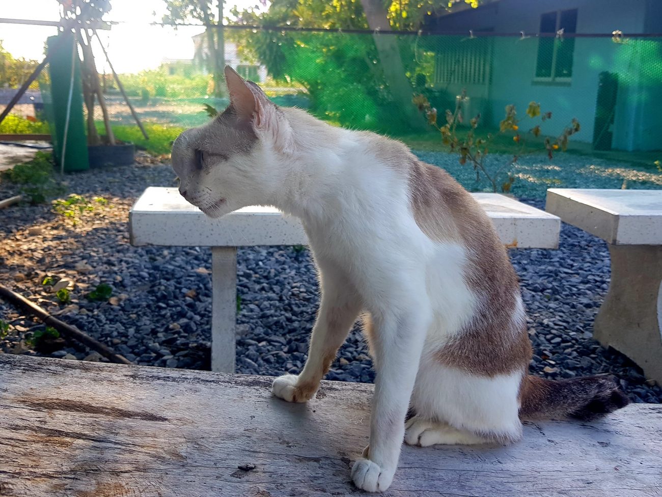 อัปเดตอาการ #ต้อยติ่ง หน่อยครับ 1