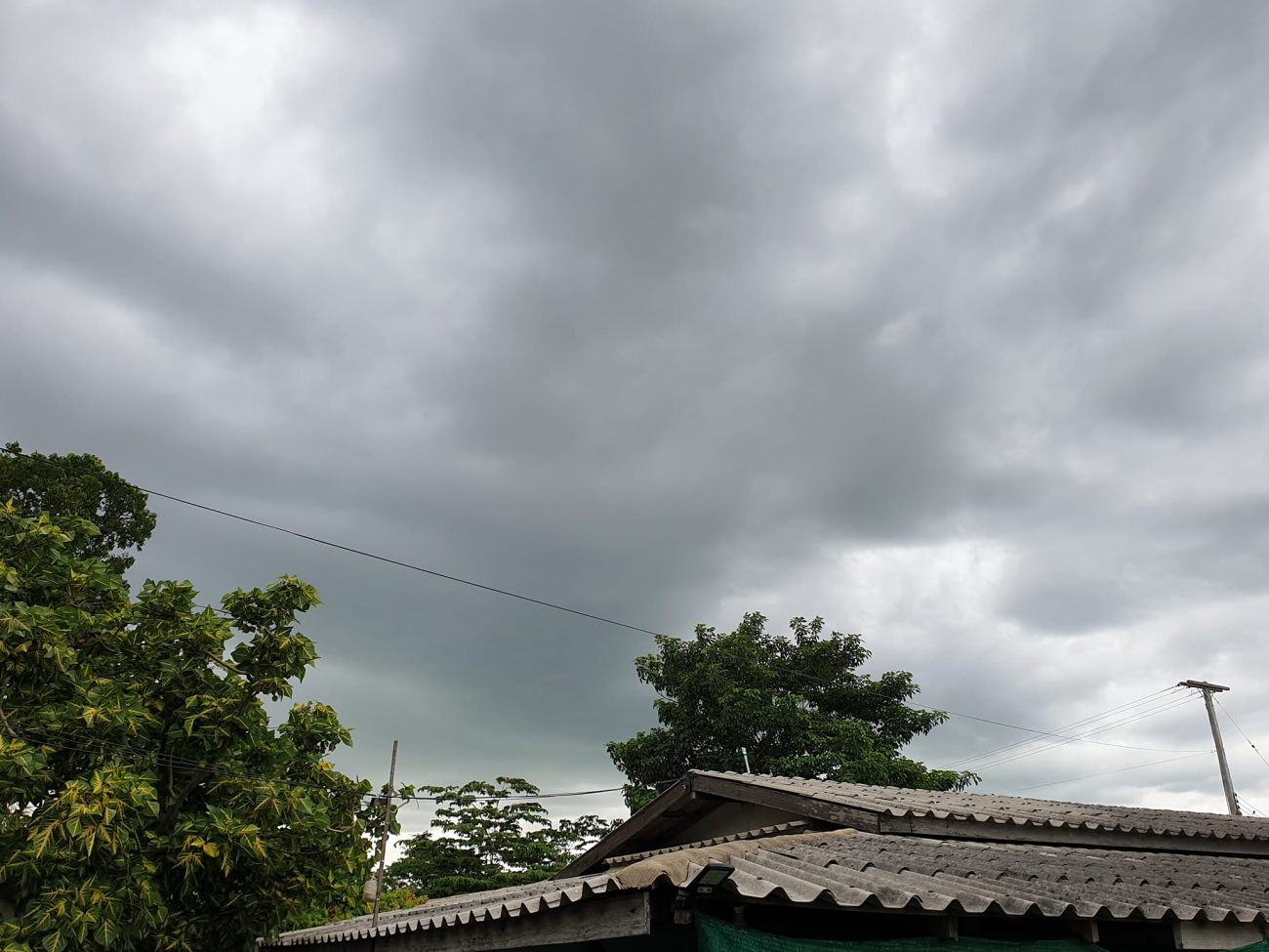 ขอหลบนอน ซ่อนกาย อยู่ชายป่า 2