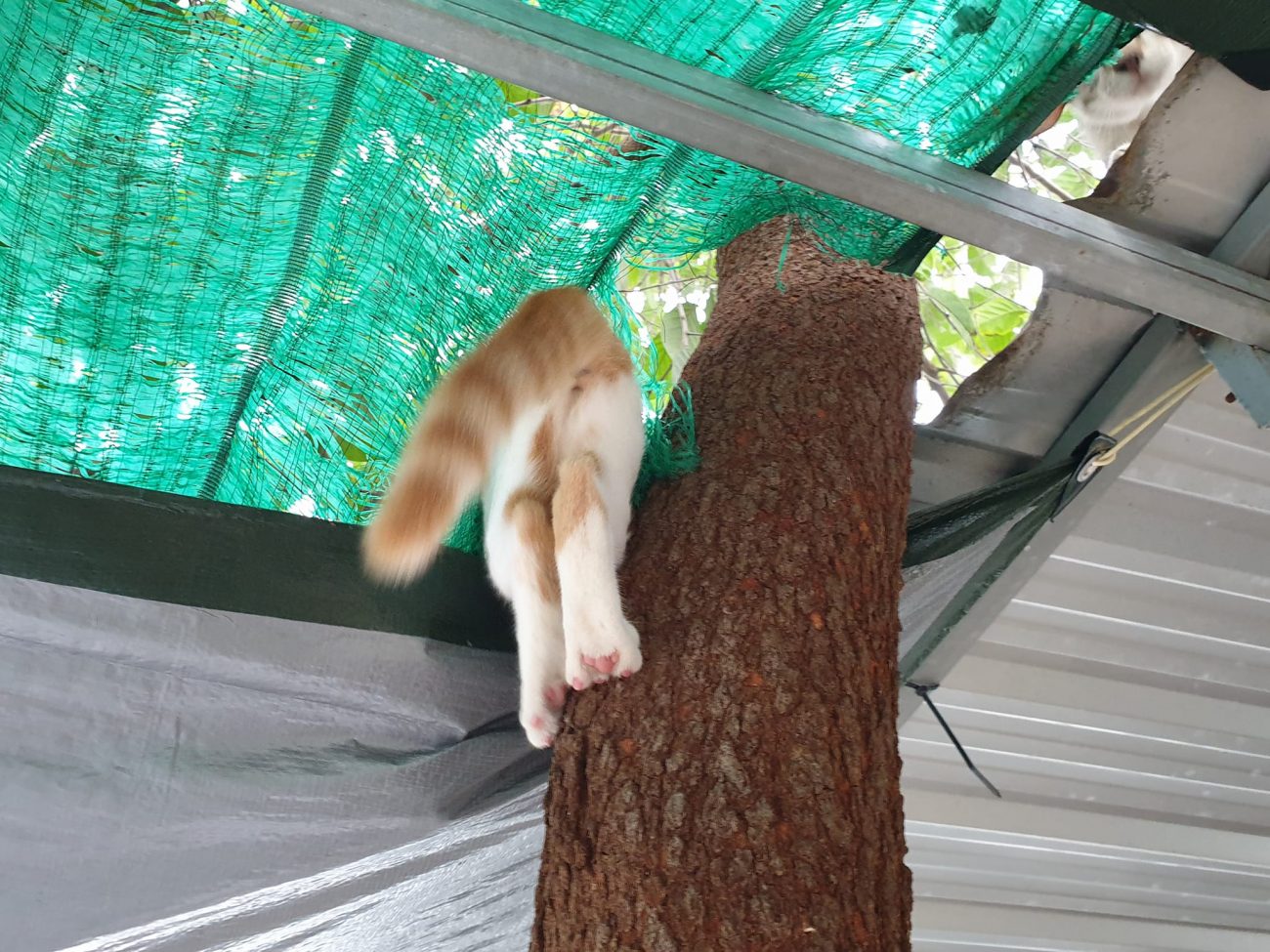 เรียกให้เข้า เฝ้าห้อง ไม่ต้องหนี 2