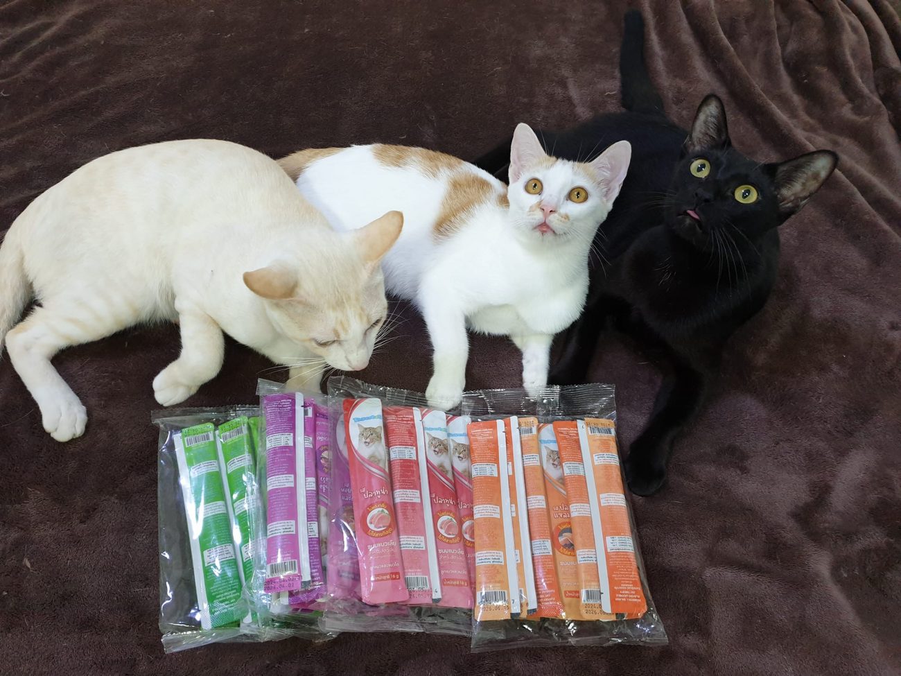 มีแฟนประจำใจดี กลัวเด็ก ๆ จะอดเลยส่งขนมแมวเลียมาให้ครับ 1