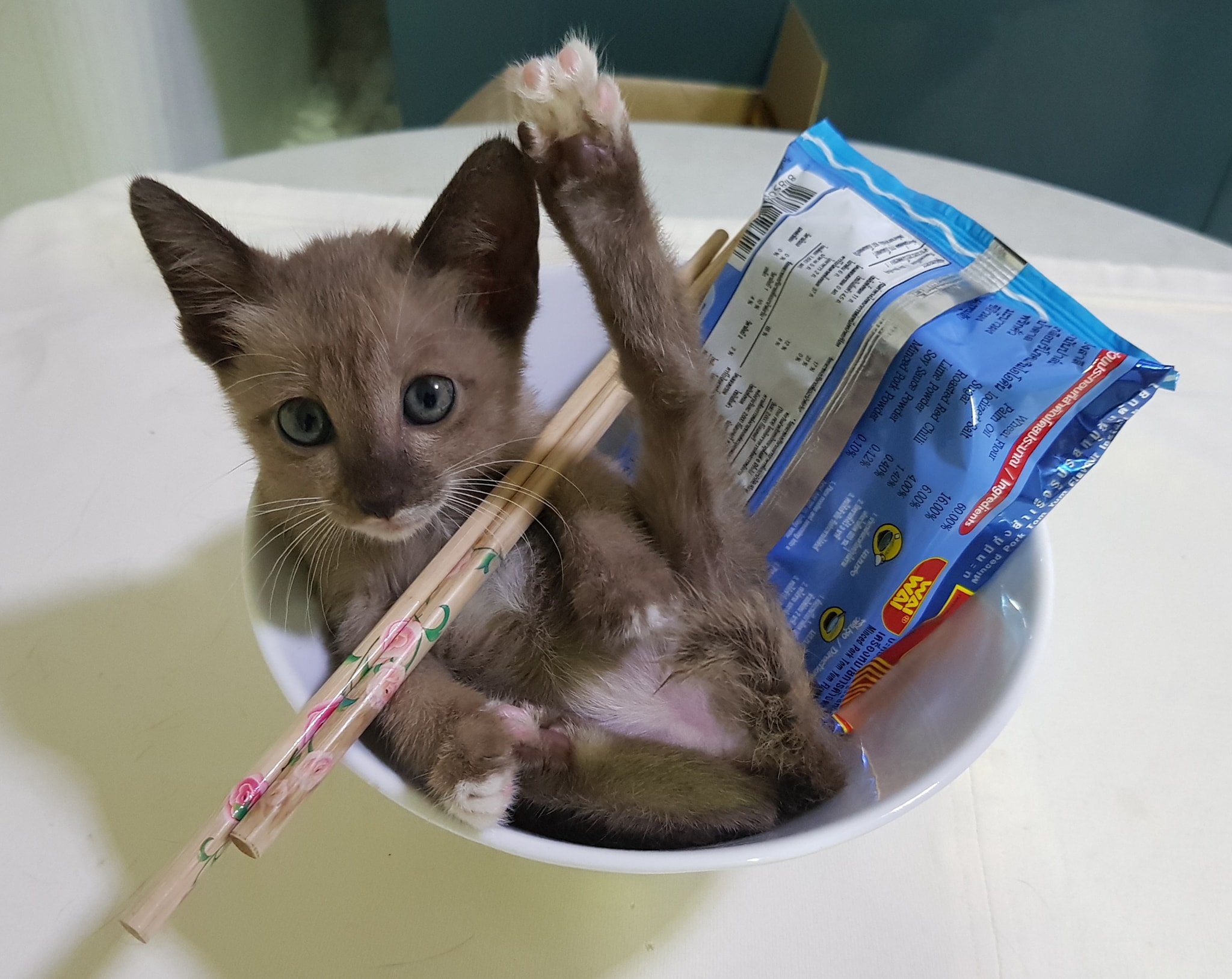 อัปเดตอาการโนอึลกับเรื่องอื่นสองสามเรื่องครับ 1