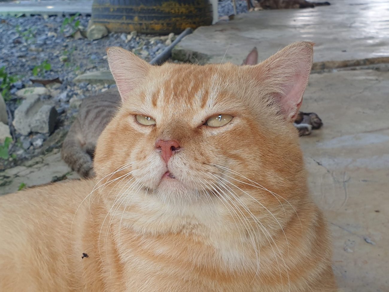 นอนคุดคู้ อยู่ห้อง เลยท้องว่าง 2